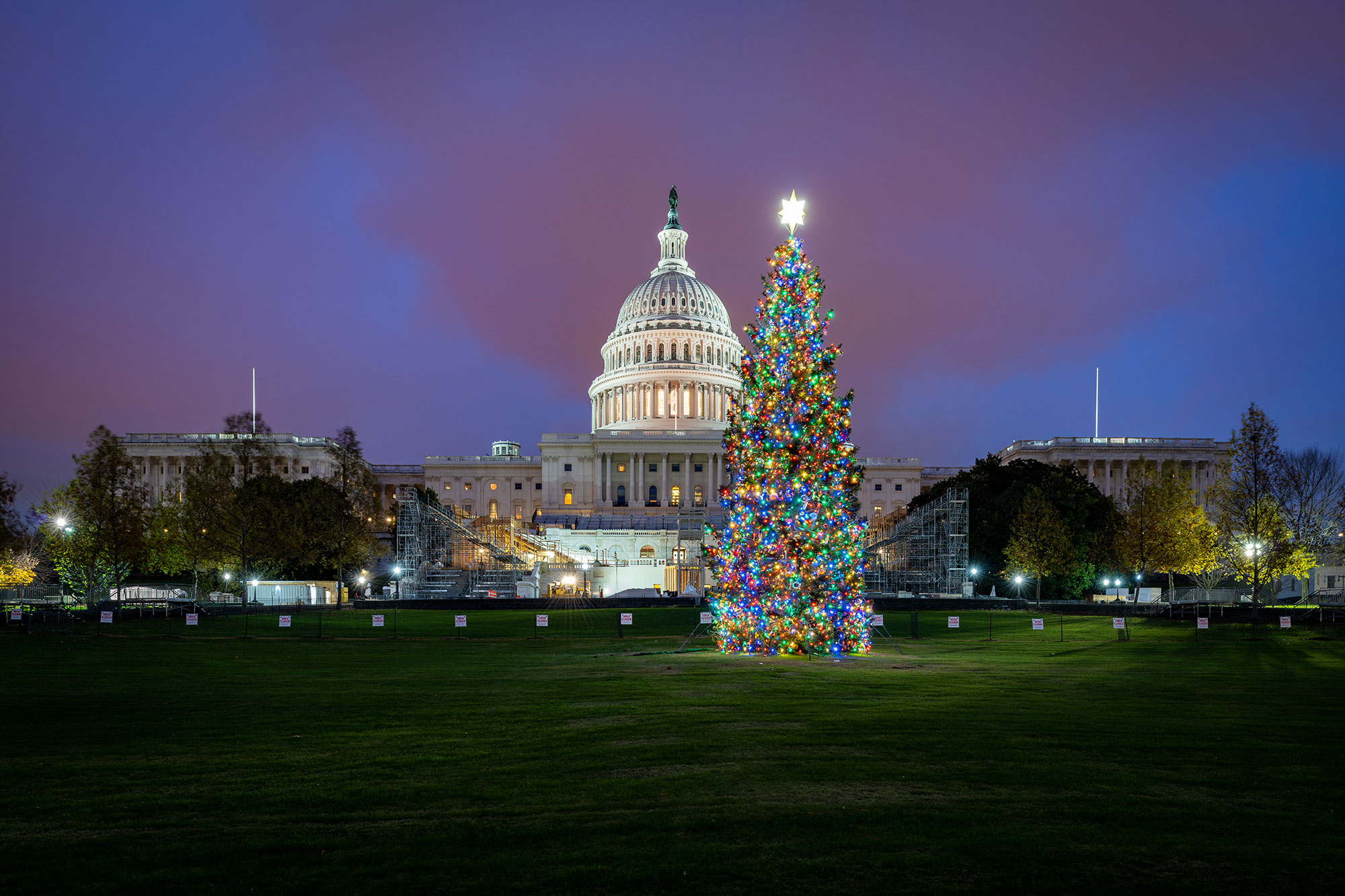 Capitol Christmas Tree Architect of the Capitol