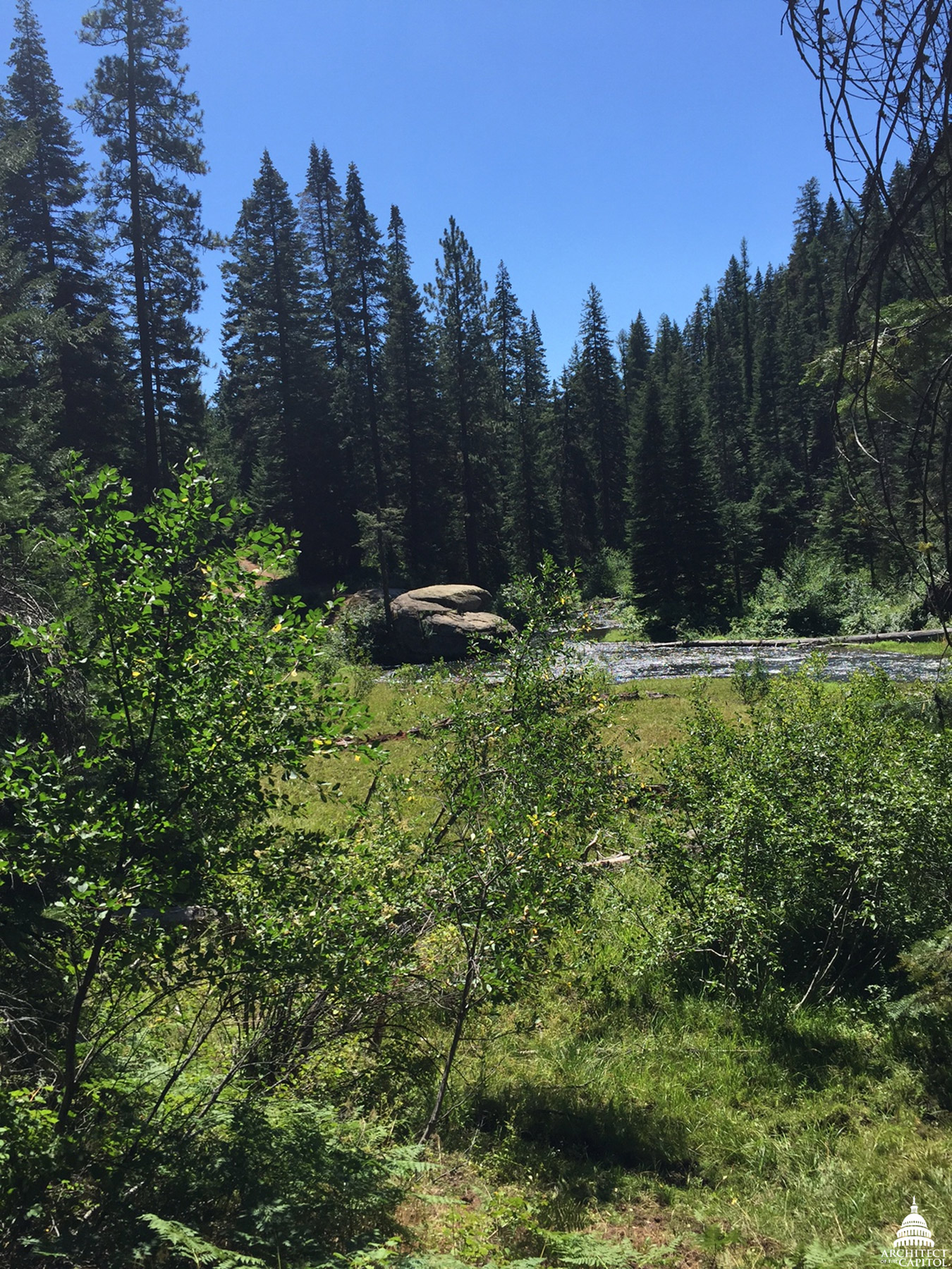 Payette National Forest