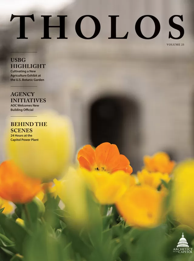 Tholos Volume 23, Summer 2022 - Cover